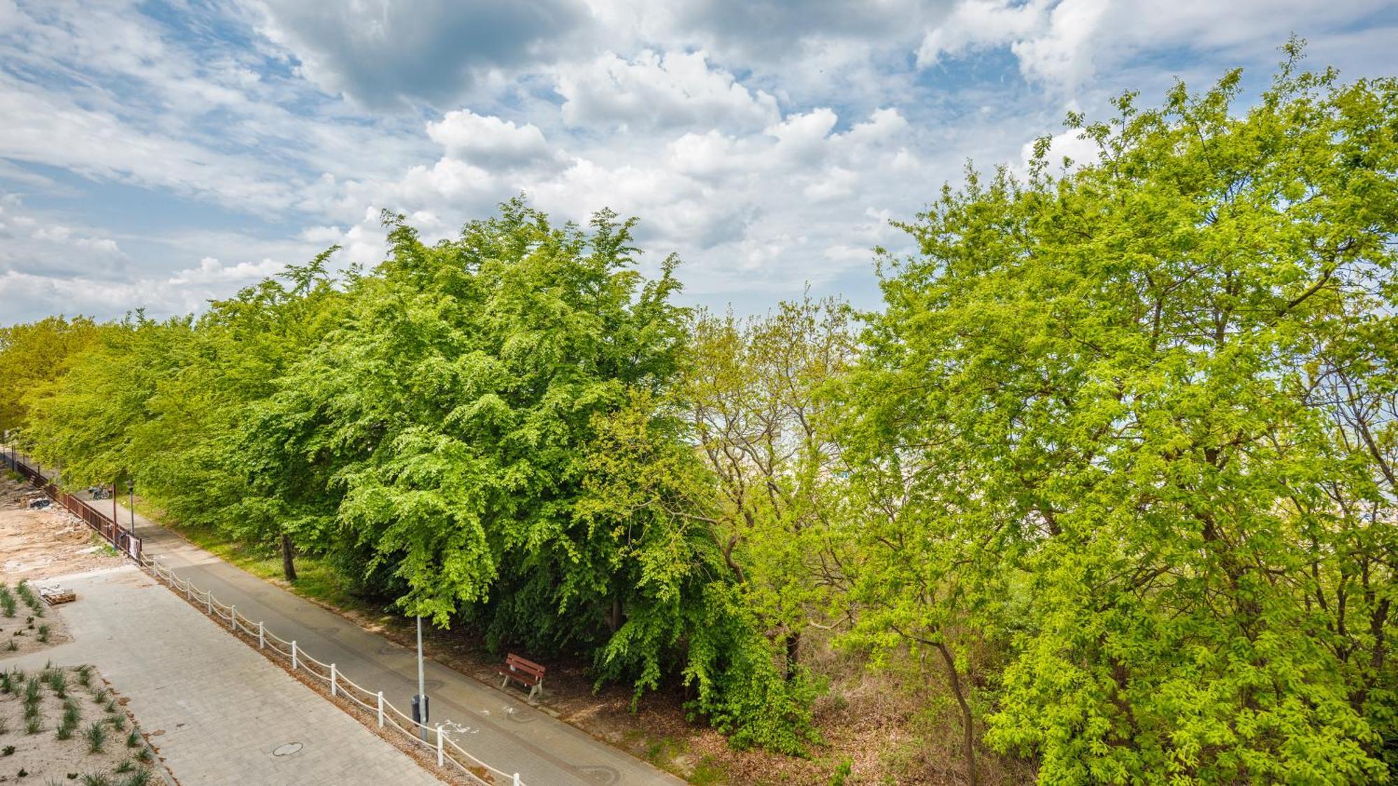 Lazurowe Wybrzeze Z Widokiem Na Morze - Perlowa Przystan - Holiday City Sianozety Exterior photo